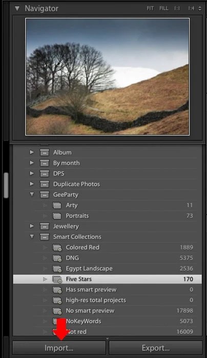 screenshot of Import option in adobe lightroom
