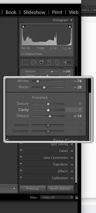 Texture control slider in Lightroom