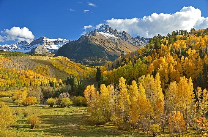 Autumnal forest in a mountain scene.
