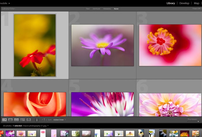 A screenshot of editing macro photography