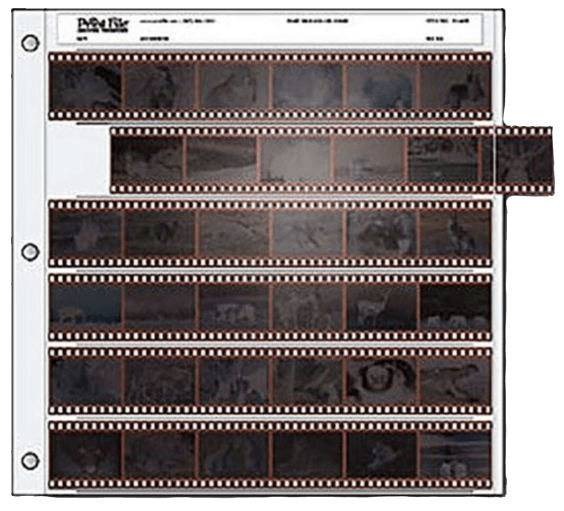 35mm Negative Pages Pack of 25